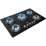 Parrilla Gas 5 Quemadores Vidrio Templado..